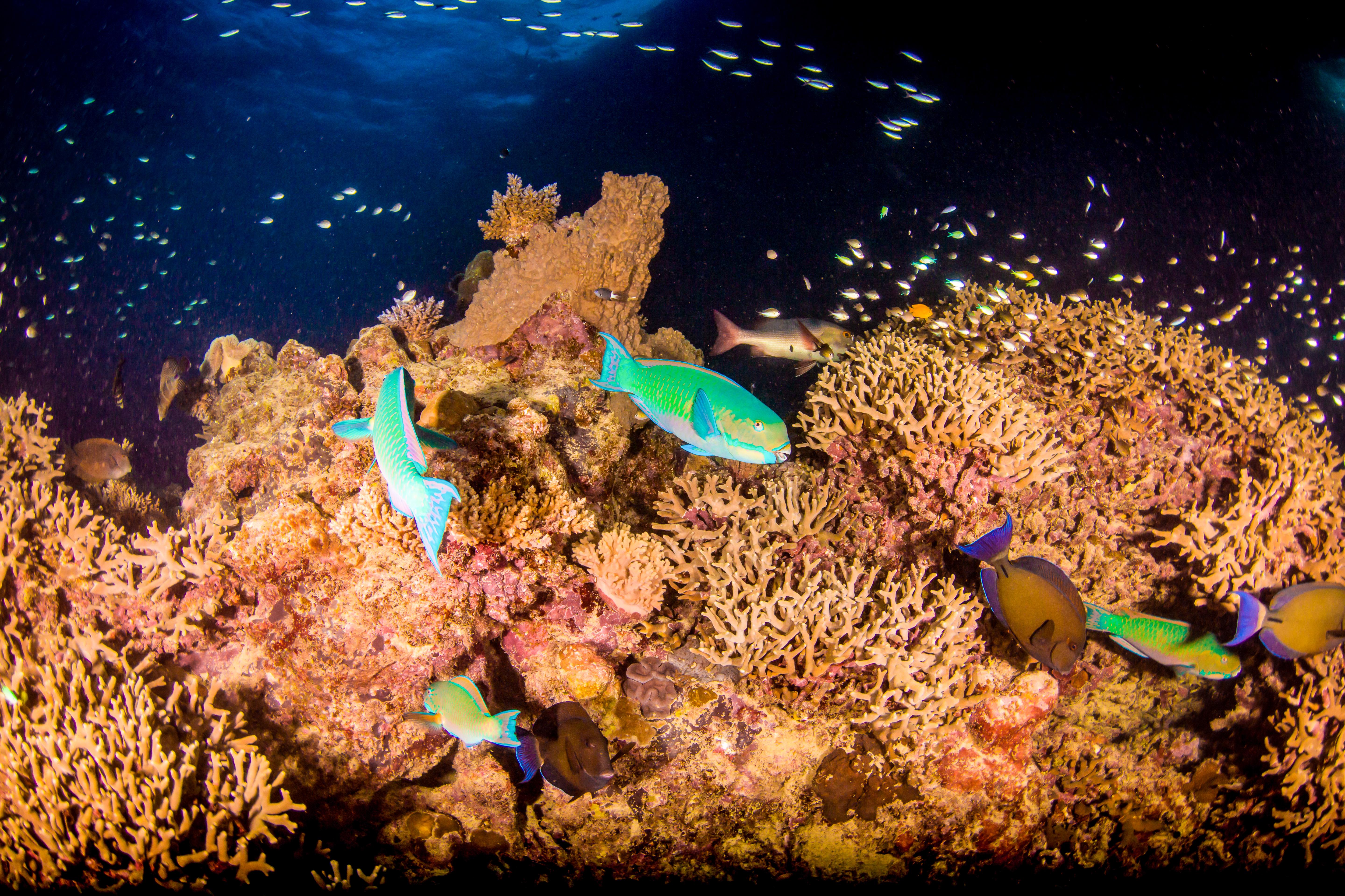 Great Barrier Reef